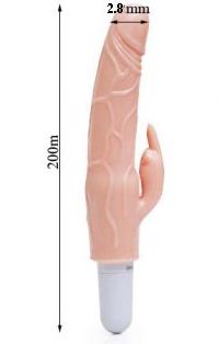 Beginner's Small Penis Dildo Vibration