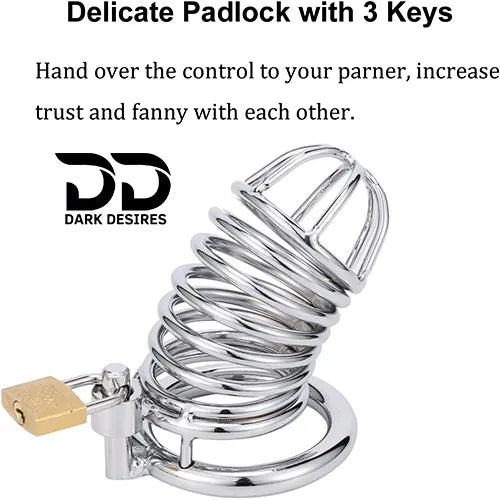 Metal Male Chastity Cage with Padlock 3 Adjustable Ring Sizes stainless steel color India by DarkDesires