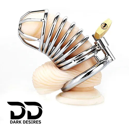 Metal Male Chastity Cage with Padlock 3 Adjustable Ring Sizes stainless steel color India by DarkDesires