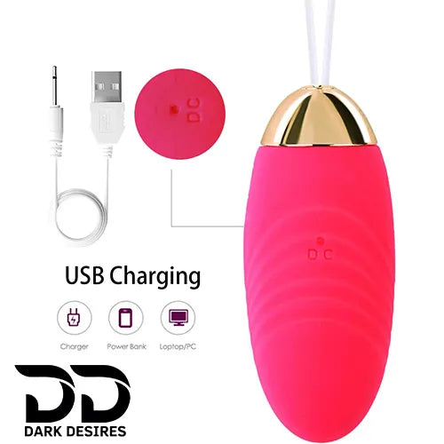 Remote Control Bullet Vibrator Egg – G-Spot & Clitoral Massager Pink Color USB Charging India By DarkDesires