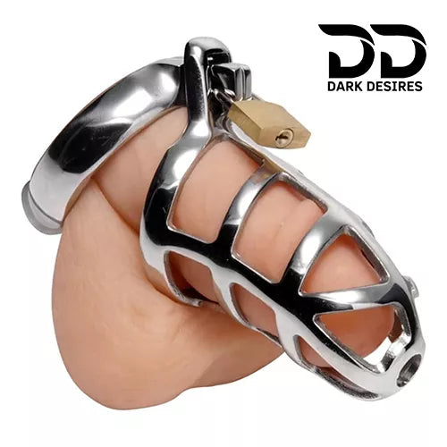 detained Stainless Steel Chastity Cage Locking Penis Bondage Cock Cage for Men from DarkDesires
