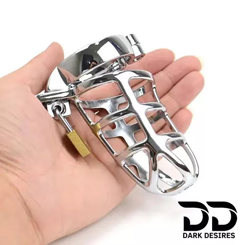 detained Stainless Steel Chastity Cage Locking Penis Bondage Cock Cage for Men from DarkDesires