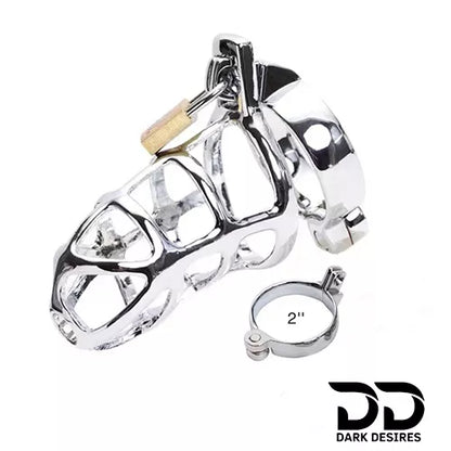 detained Stainless Steel Chastity Cage Locking Penis Bondage Cock Cage for Men from DarkDesires